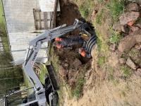 IMG_6781 (768x1024).jpg